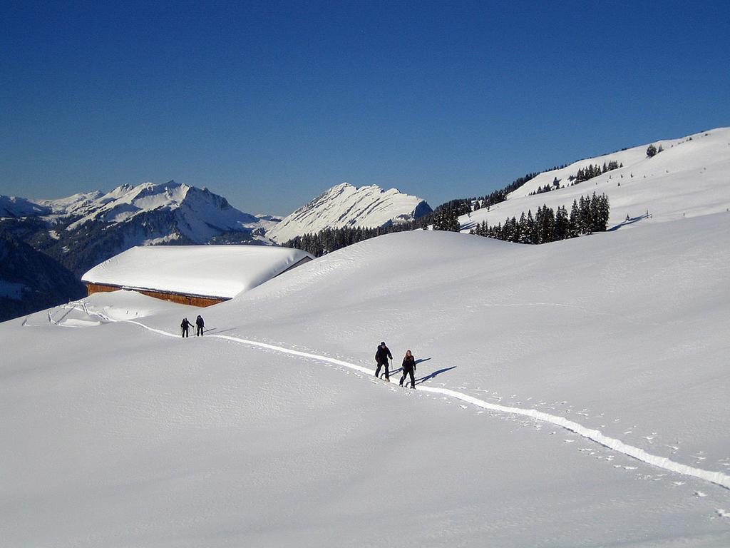Caroline'S Appartement Au (Vorarlberg) Eksteriør billede